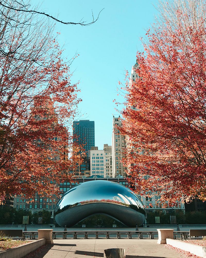 illinois from antonio gabola SRP5wl4Ak88 on unsplash