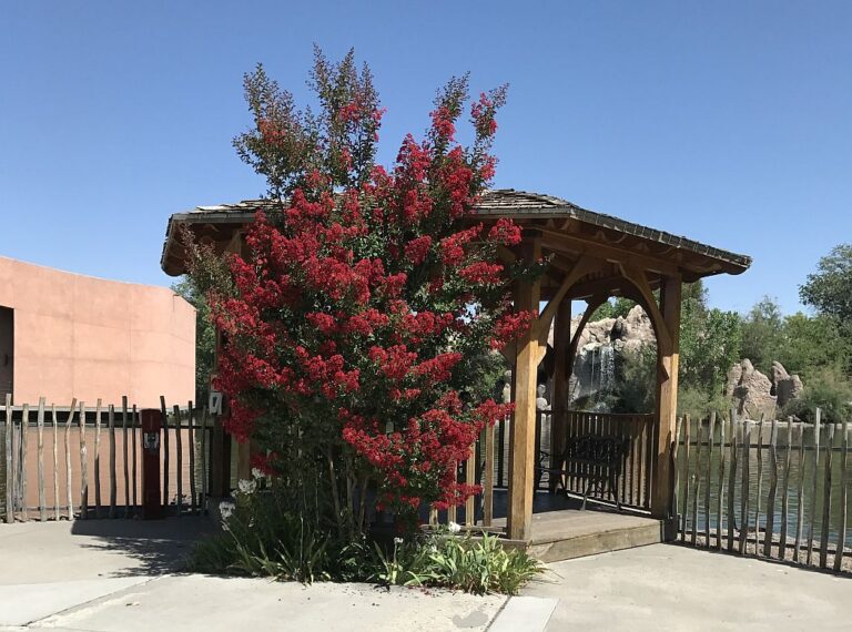 new mexico albuquerque