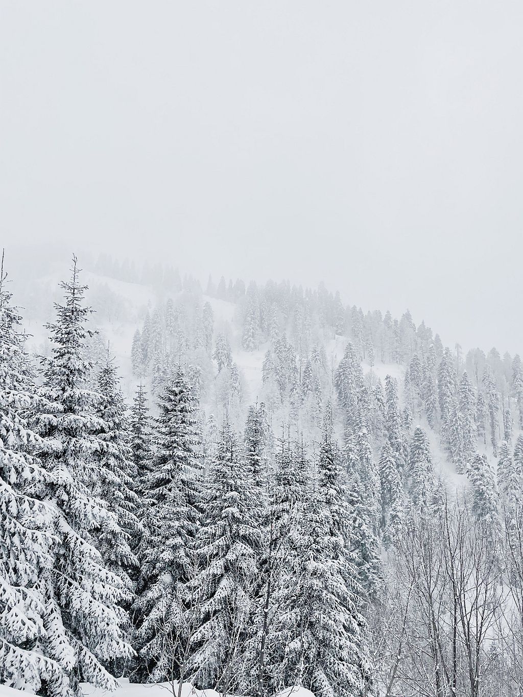 Picture of the white-mountains of New Hampshire from pexels-anna-shvets