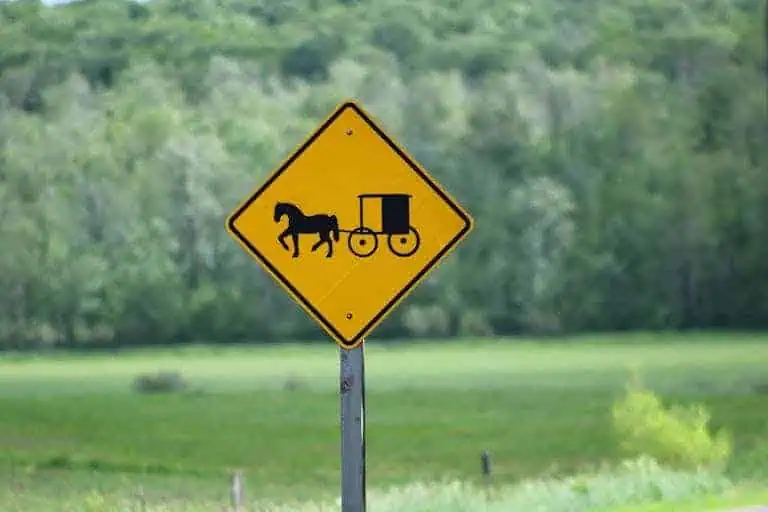 Yellow road sign with horse and carriage symbol on a rural backdrop.