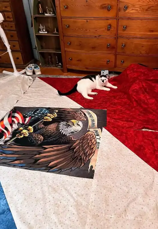 A white cat with black markings lies on a red fabric spread on the floor next to a dresser. In front of the cat is a large printed image of an eagle holding an American flag.